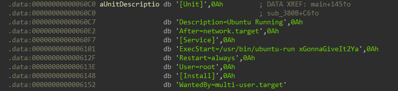 IDA — decrypted systemd unit file content at 0x60C0
