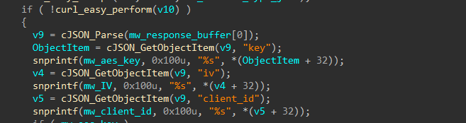 IDA — cJSON parsing of C2 response